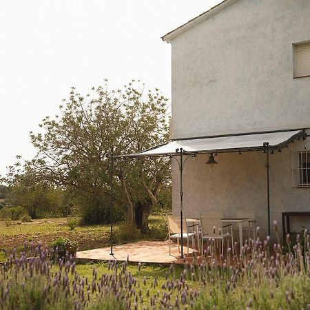 Masia Bartomeu Rural House Between Vineyards 2Km From The Beach El Vendrell Zewnętrze zdjęcie