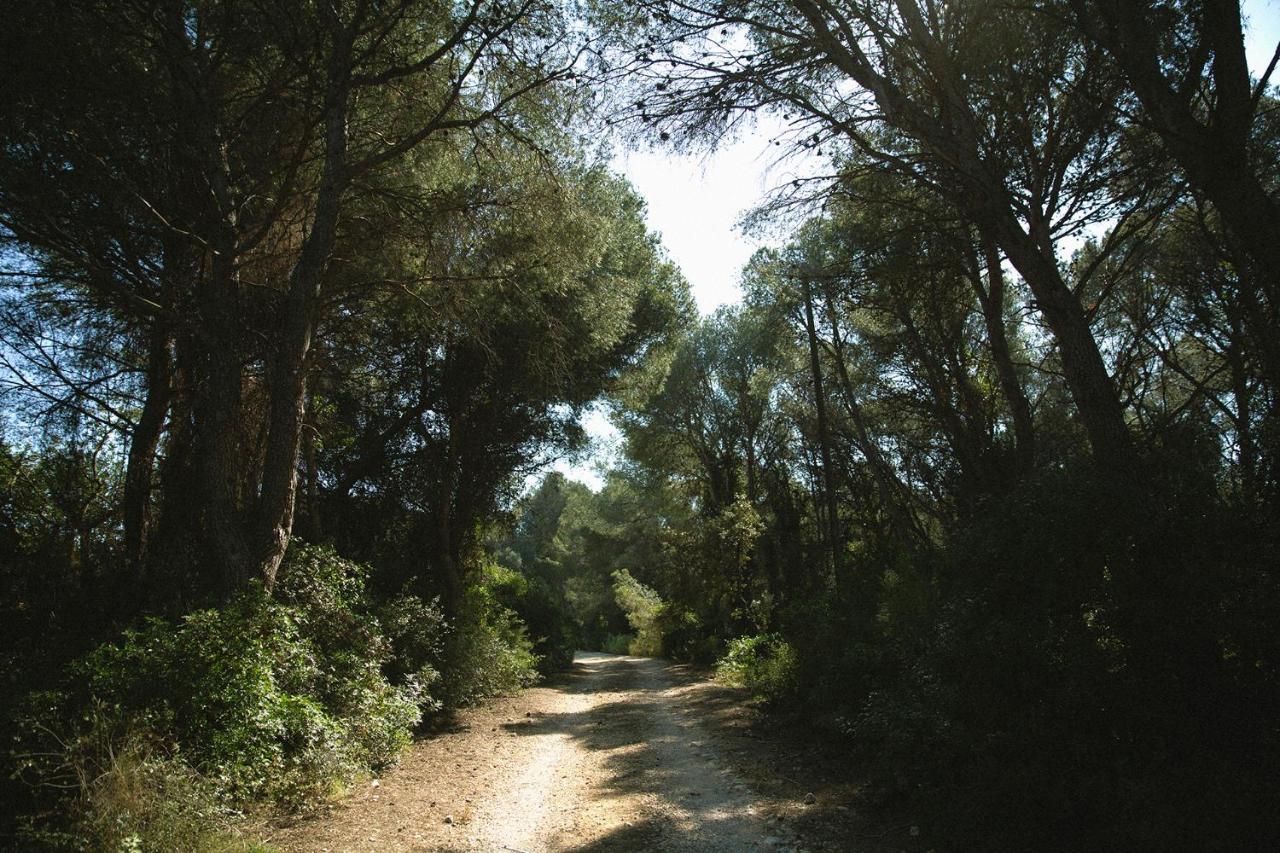 Masia Bartomeu Rural House Between Vineyards 2Km From The Beach El Vendrell Zewnętrze zdjęcie