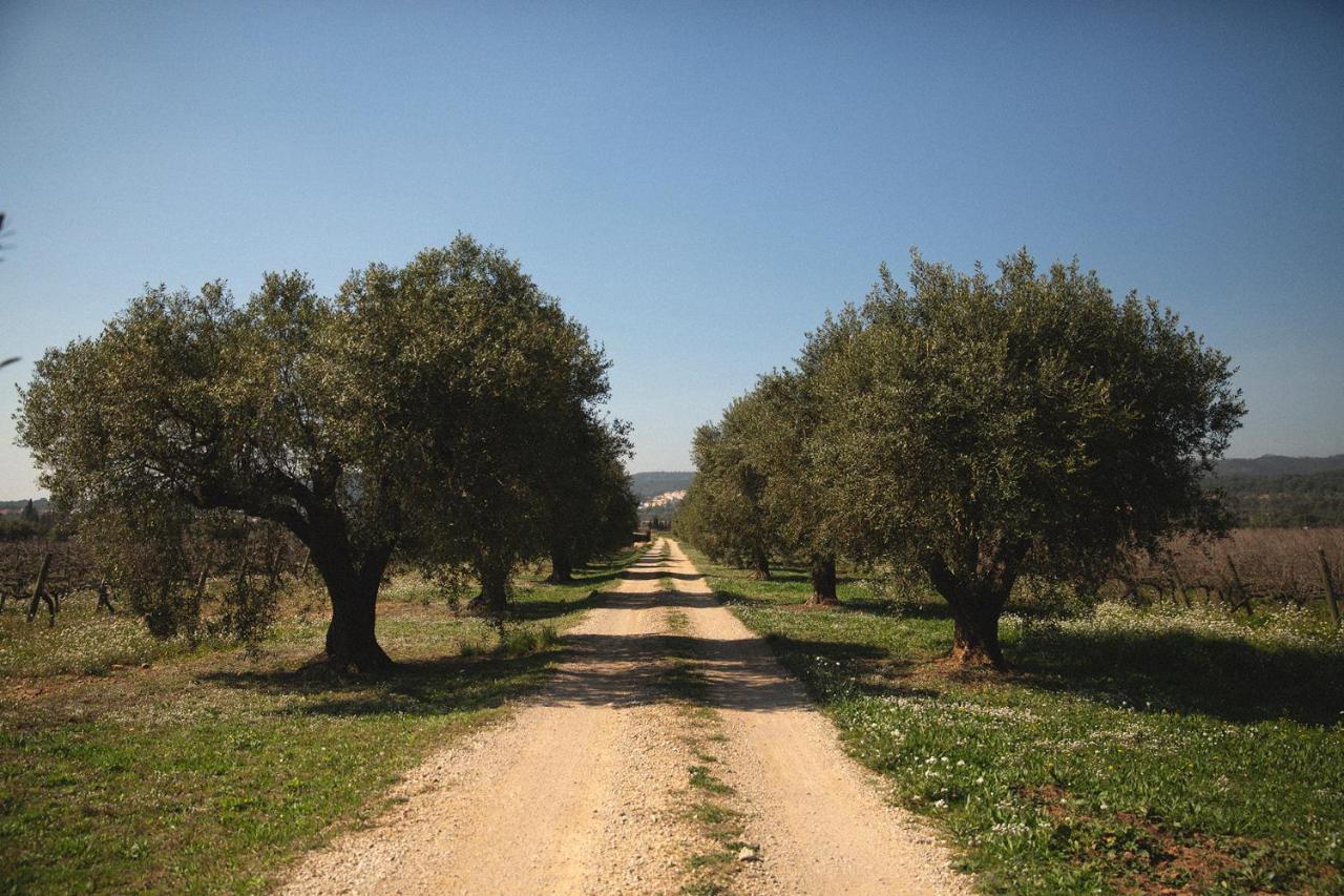 Masia Bartomeu Rural House Between Vineyards 2Km From The Beach El Vendrell Zewnętrze zdjęcie