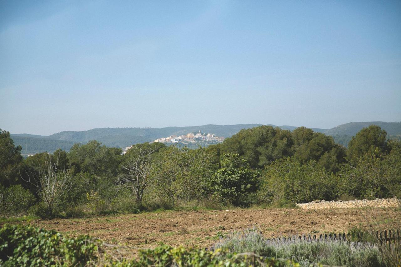 Masia Bartomeu Rural House Between Vineyards 2Km From The Beach El Vendrell Zewnętrze zdjęcie