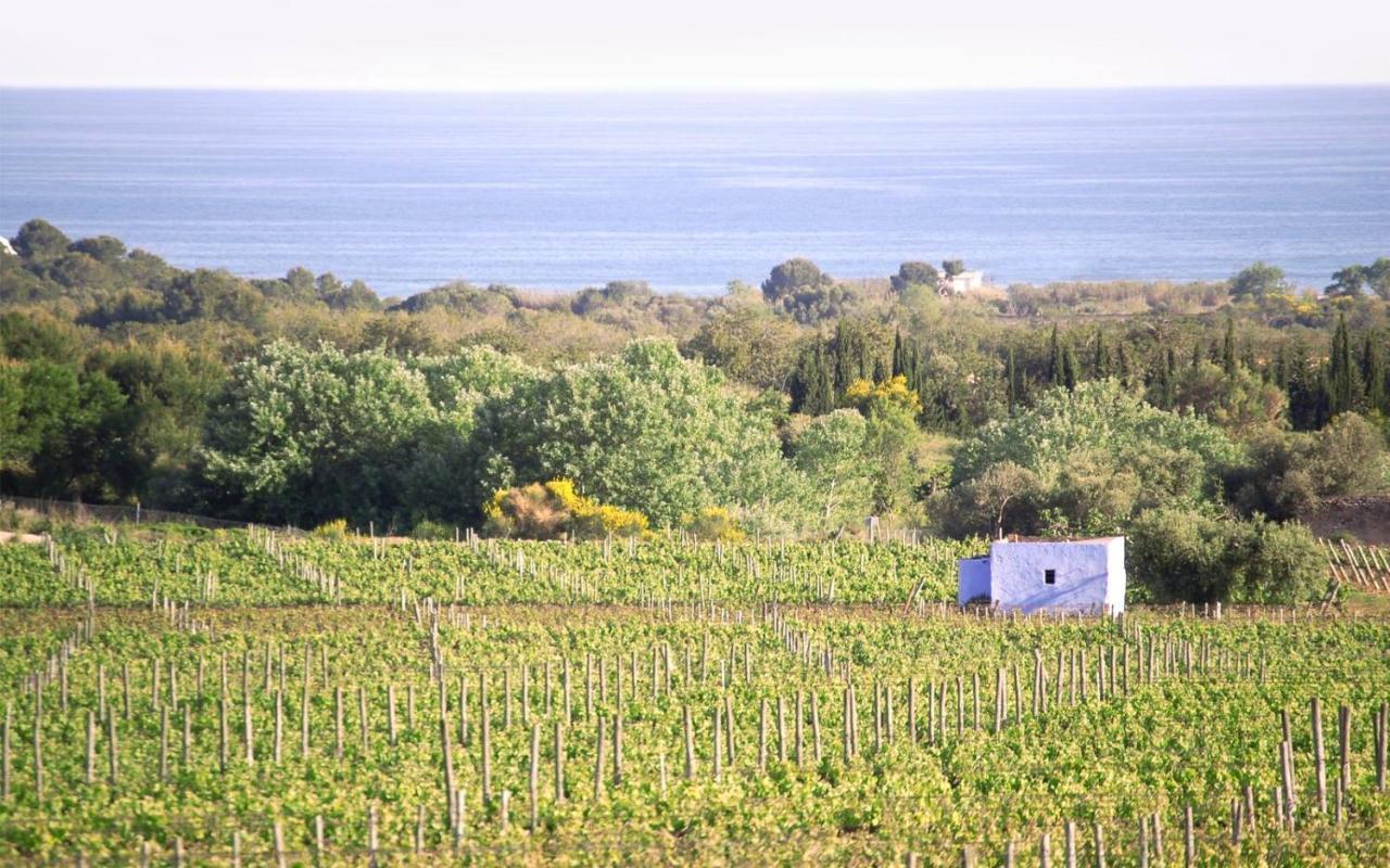 Masia Bartomeu Rural House Between Vineyards 2Km From The Beach El Vendrell Zewnętrze zdjęcie